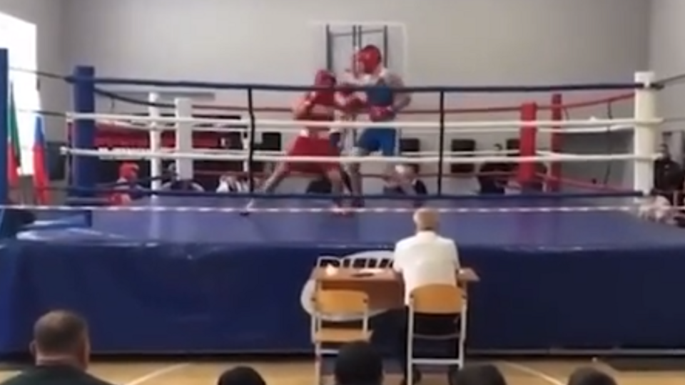 живи боксом