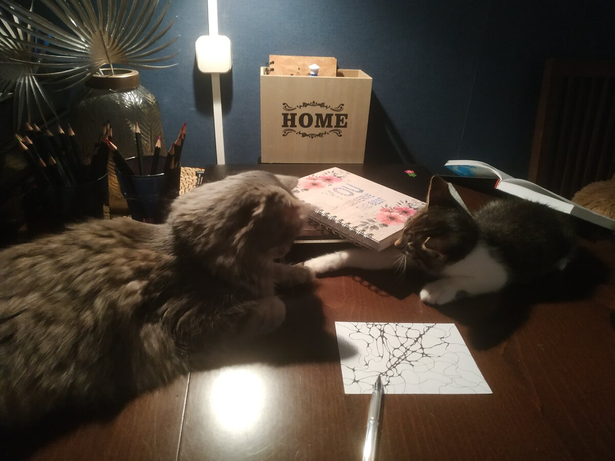 Так начиналось знакомство