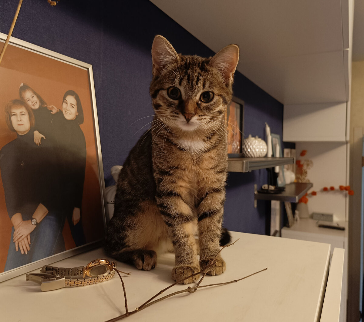 Кроха Бусинка