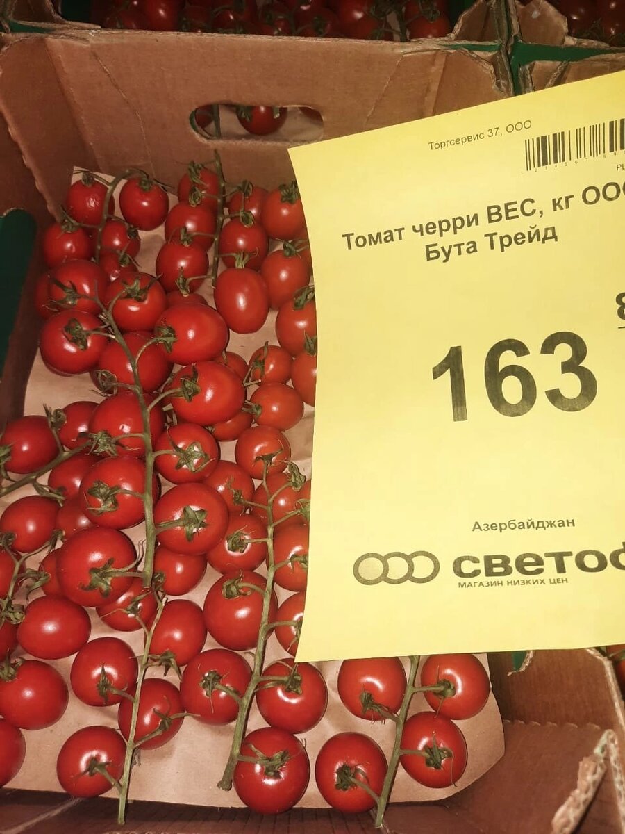 Розы в светофоре 2024