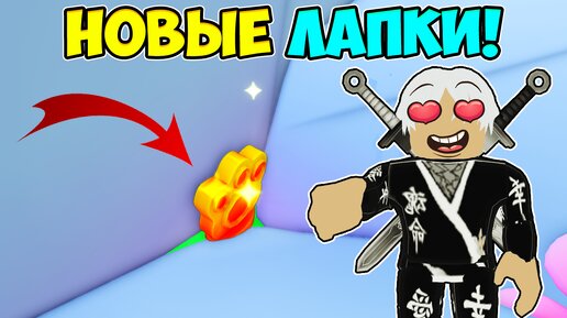 НОВЫЕ МЕСТА ЛАПОК ИЗ НОВОГО ОБНОВЛЕНИЯ ПЕТ СИМУЛЯТОР 99! 😱 Pet Sim 99 Roblox