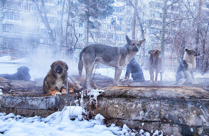    Serg Zastavkin/фотобанк «Лори»