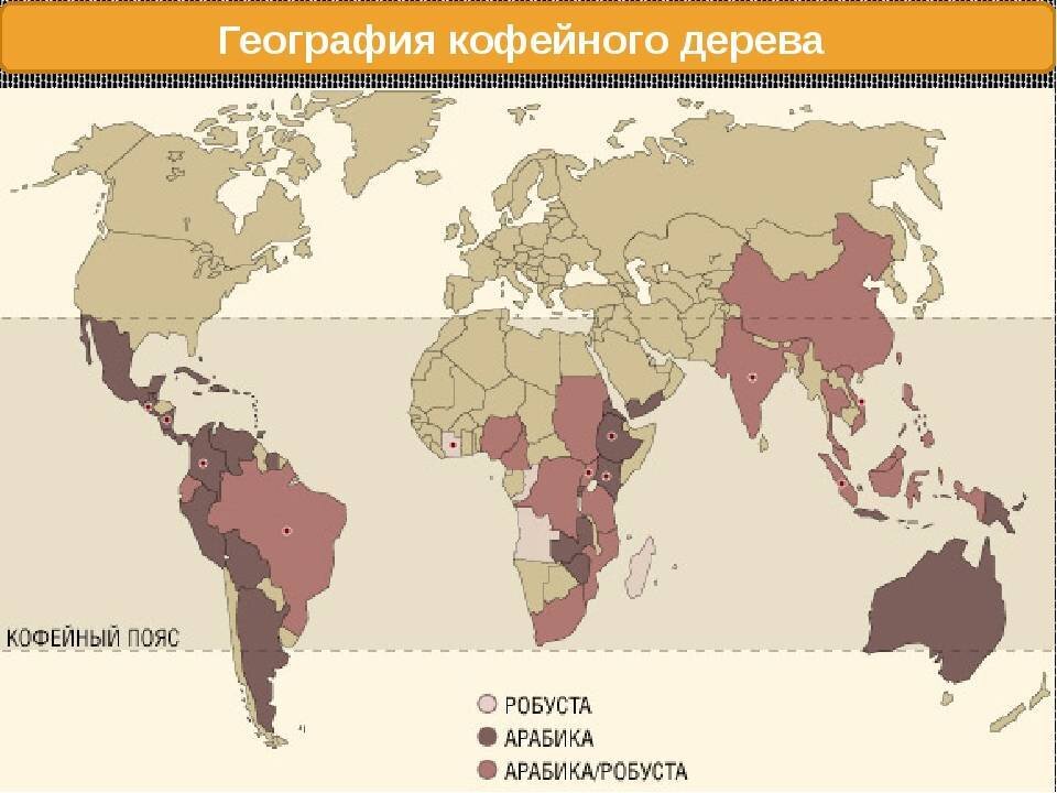 Кофе какая страна. Где растёт кофе в какой стране. В каких странах выращивают кофе. Кофейный пояс.