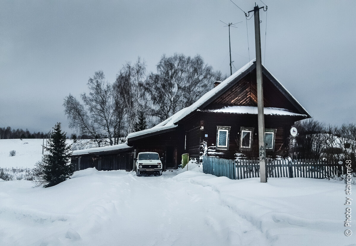 Занесенный снегом домик в деревне и Белка на его фоне