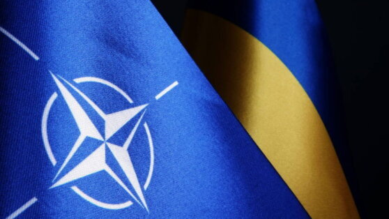    Президент Украины назвал "ерундой" сигнал о частичном участии в НАТО Роман Захаров