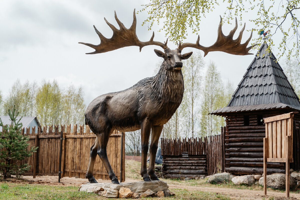 Фото: Максим Школьников