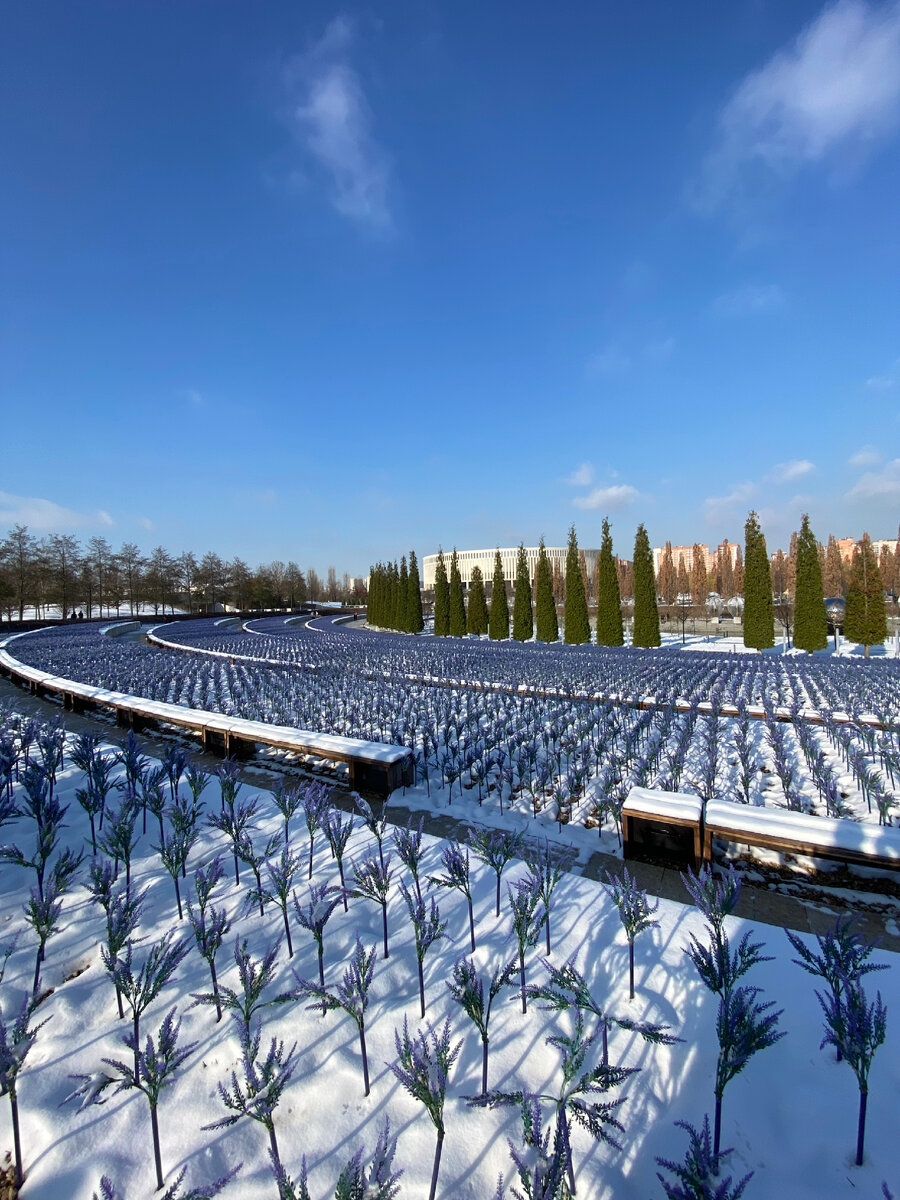 Парк Галицкого в Краснодаре 