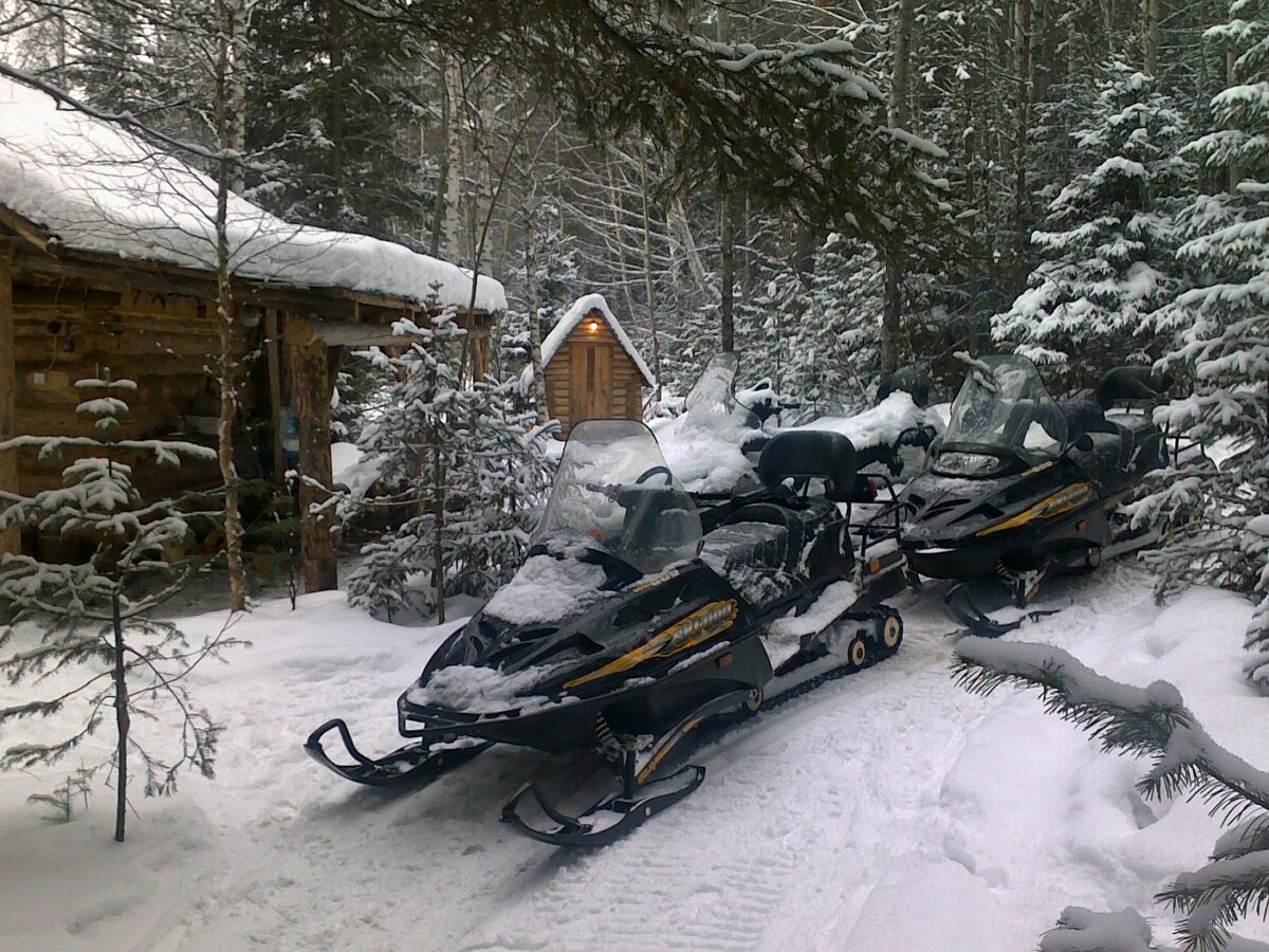 Источник Яндекс картинки