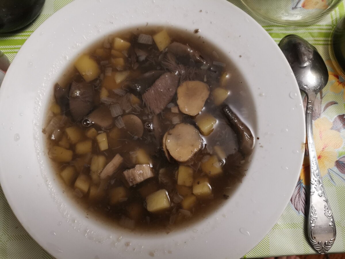 Грибной суп из подберезовиков с вермишелью, пошаговый рецепт с фото