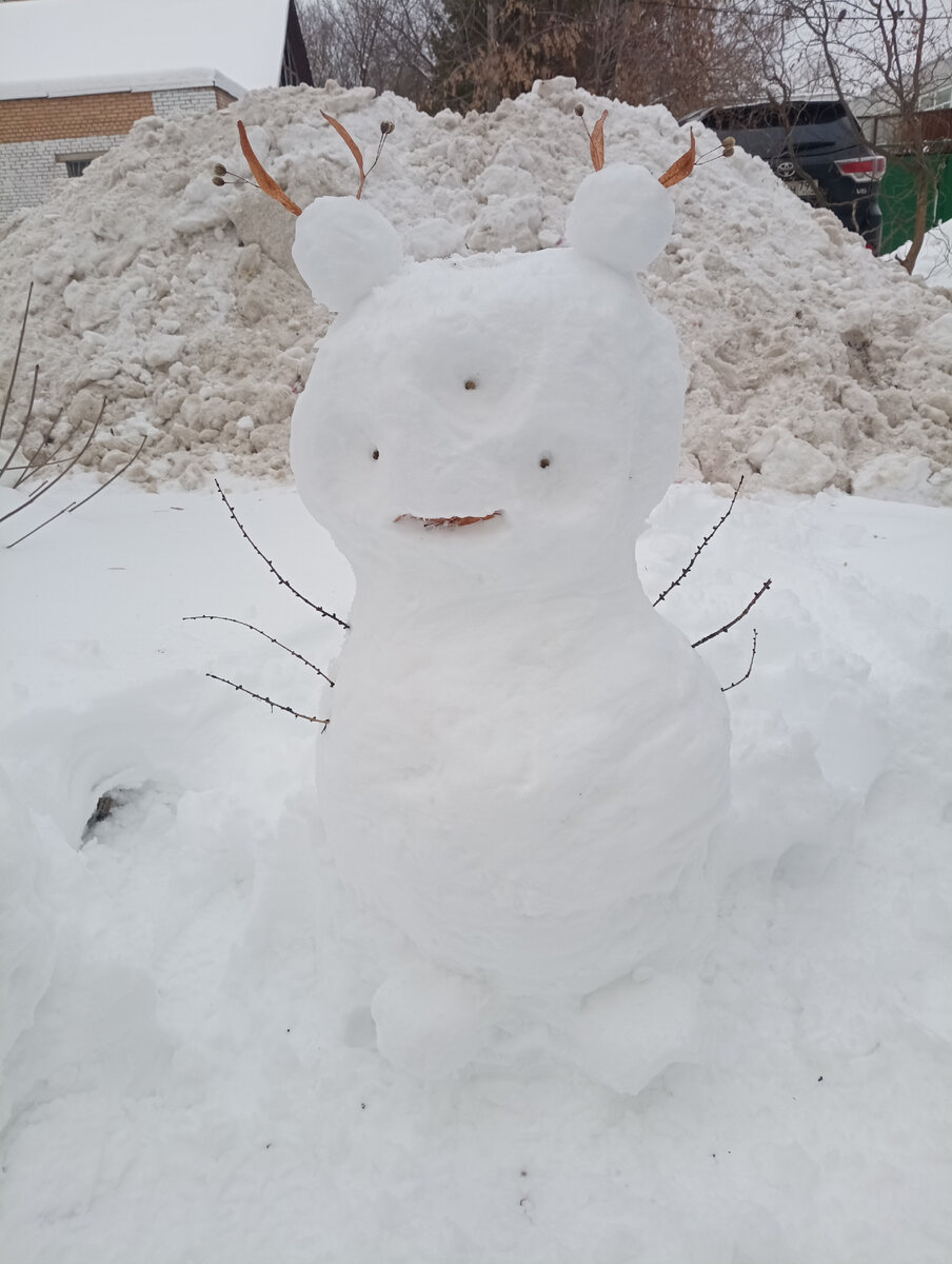 Зацените. Snow elien :)