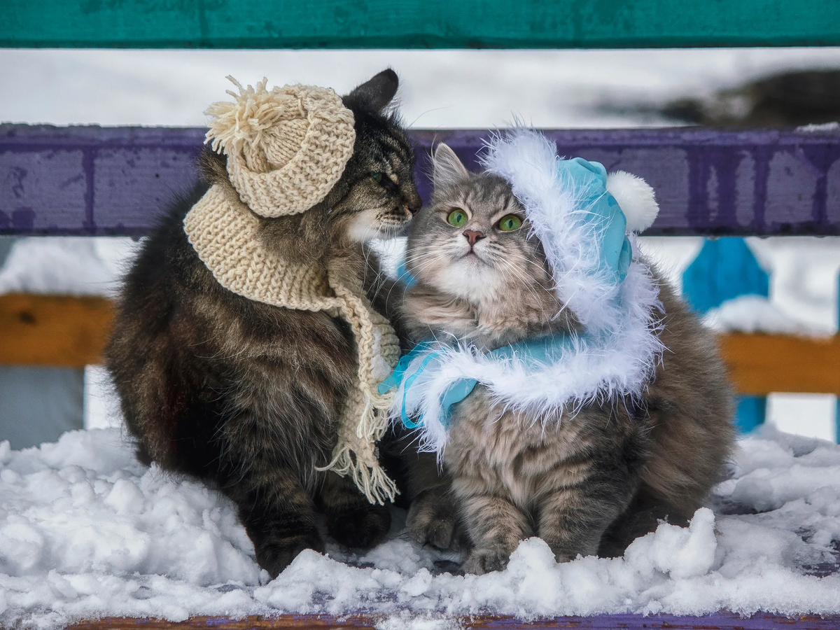 Немного красоты и милоты всем))
