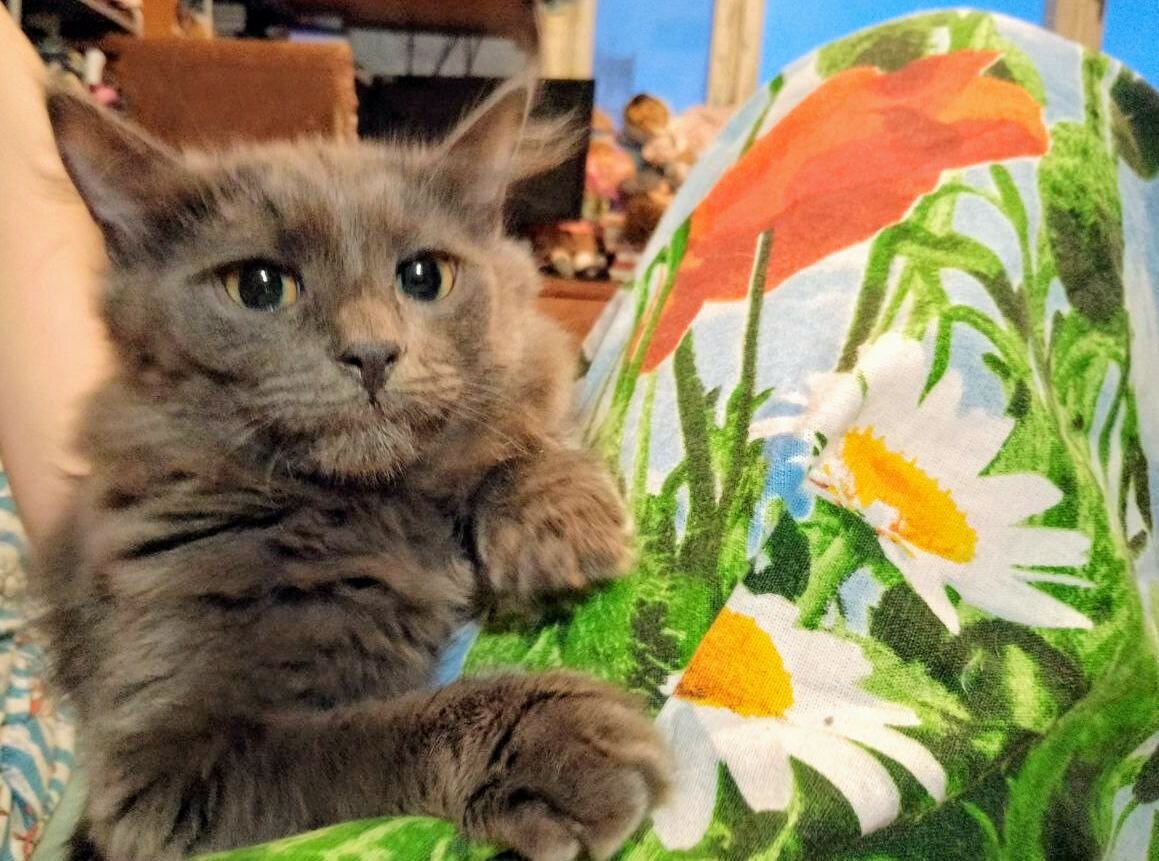 Варя сейчас такая