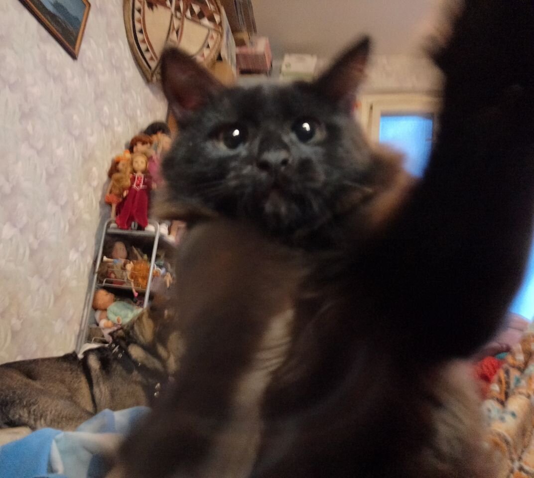 Почти Кун Кузя сегодня