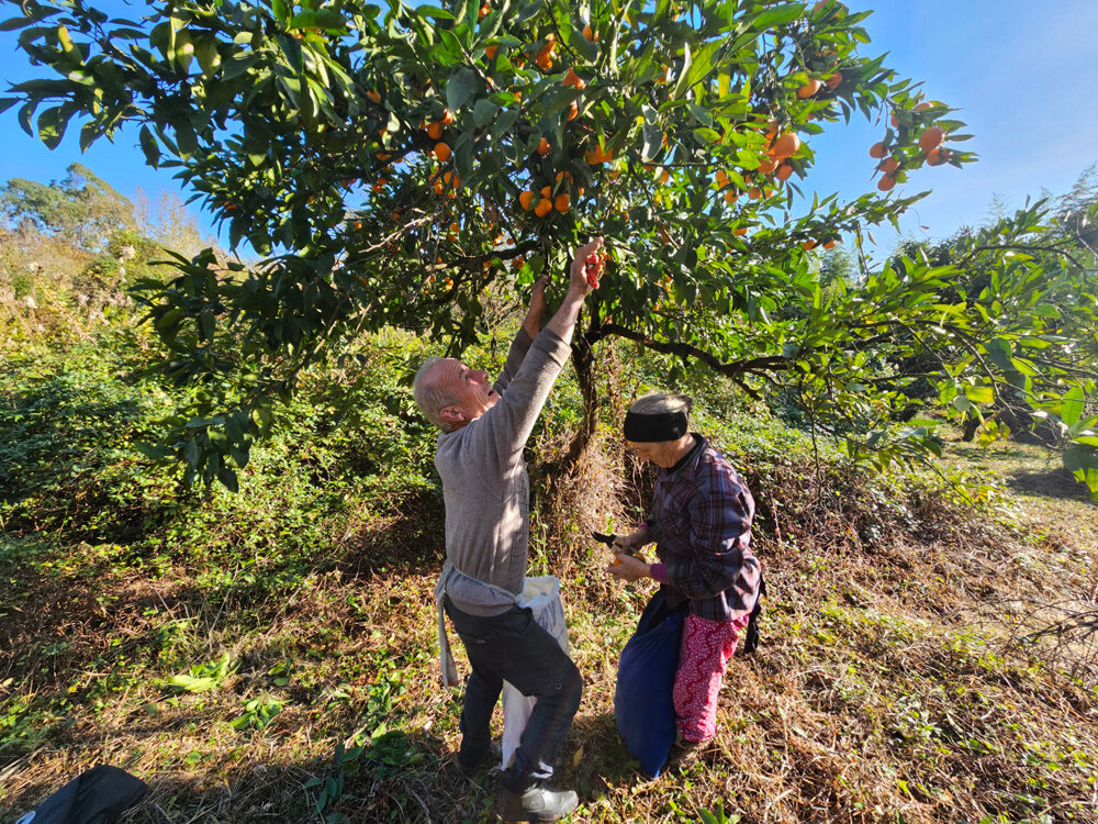    Фото:  АиФ/ Георгий Зотов