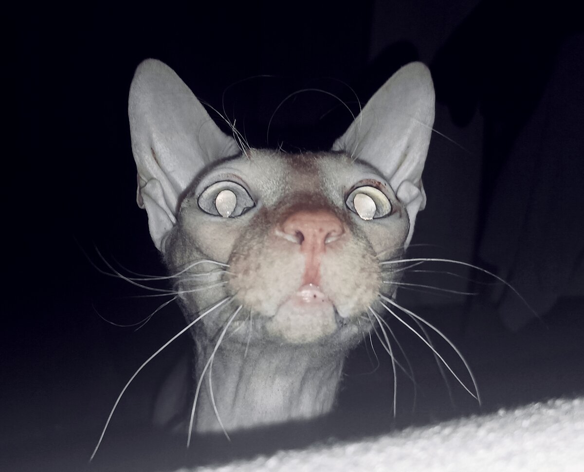 ☝️😾 Запомни: Цинь, IV–III века до нашей эры. Что бы ты в этой жизни ни натворил, такого ты точно не заслужил.