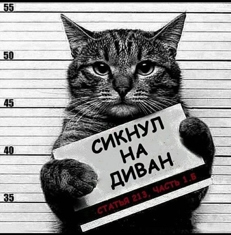 https://vk.com/public221442048