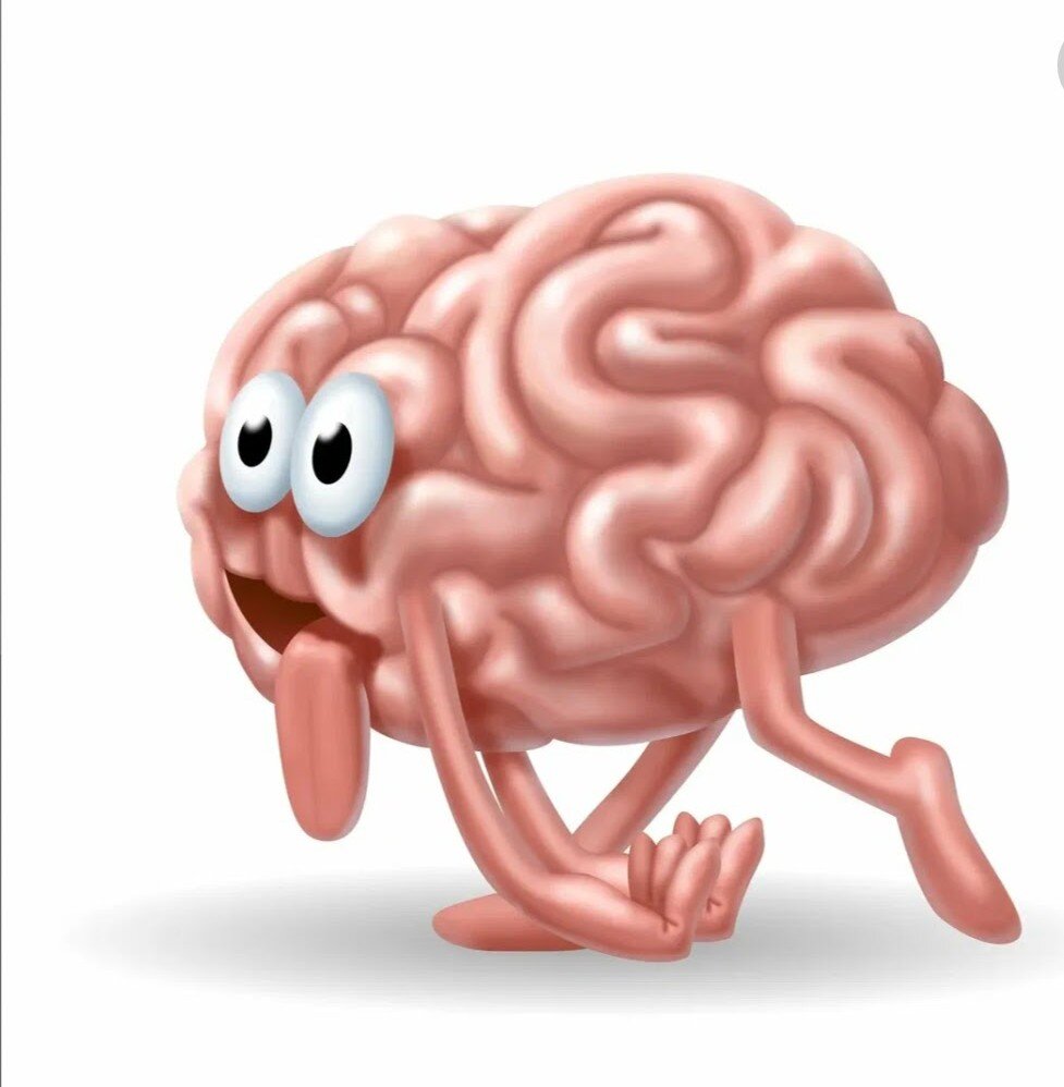 Картинка из интернета. Усталый мозг равно больная голова. А больная голова не равно усталый мозг.