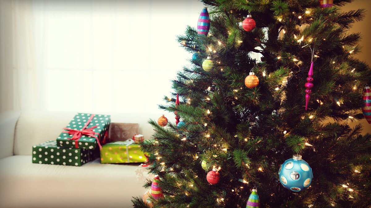 Прежде чем принести живую ёлку в свой дом, важно выполнить пять основных действий