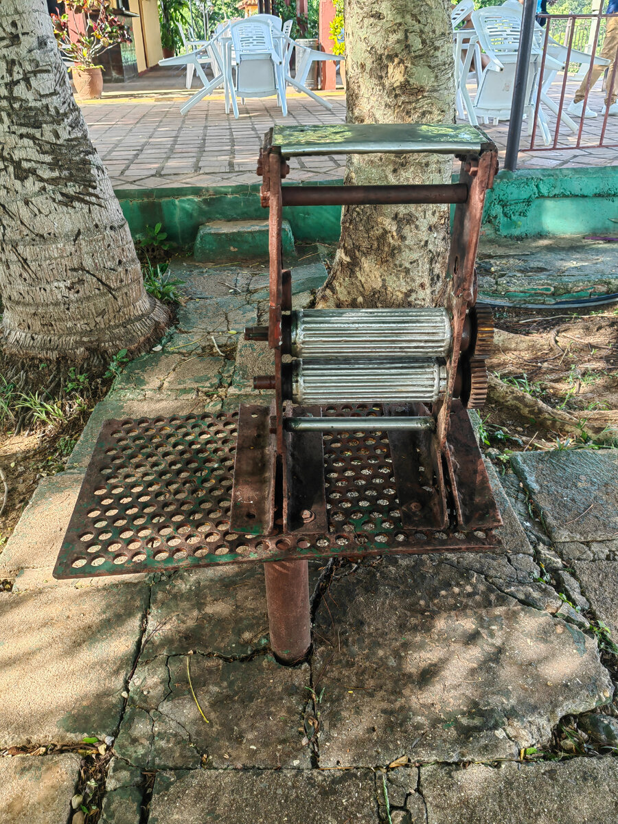 Станок для отжима тростника