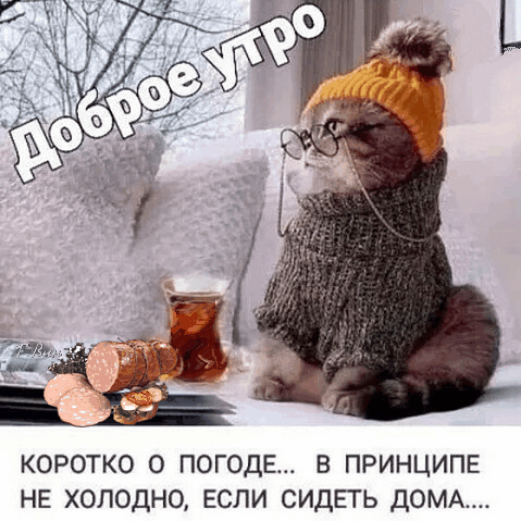 Картинка взята из интернета.