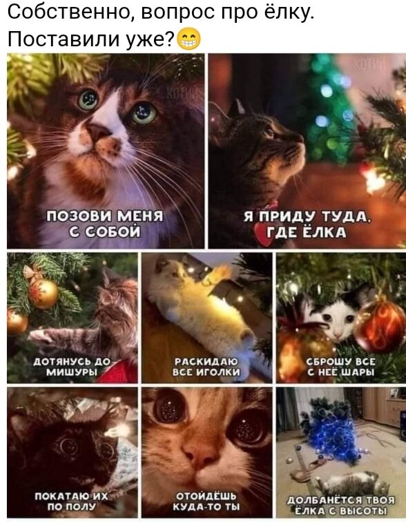 Картинка взята из интернета.