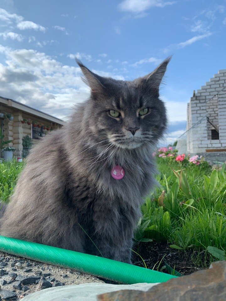 Фото из личного архива.