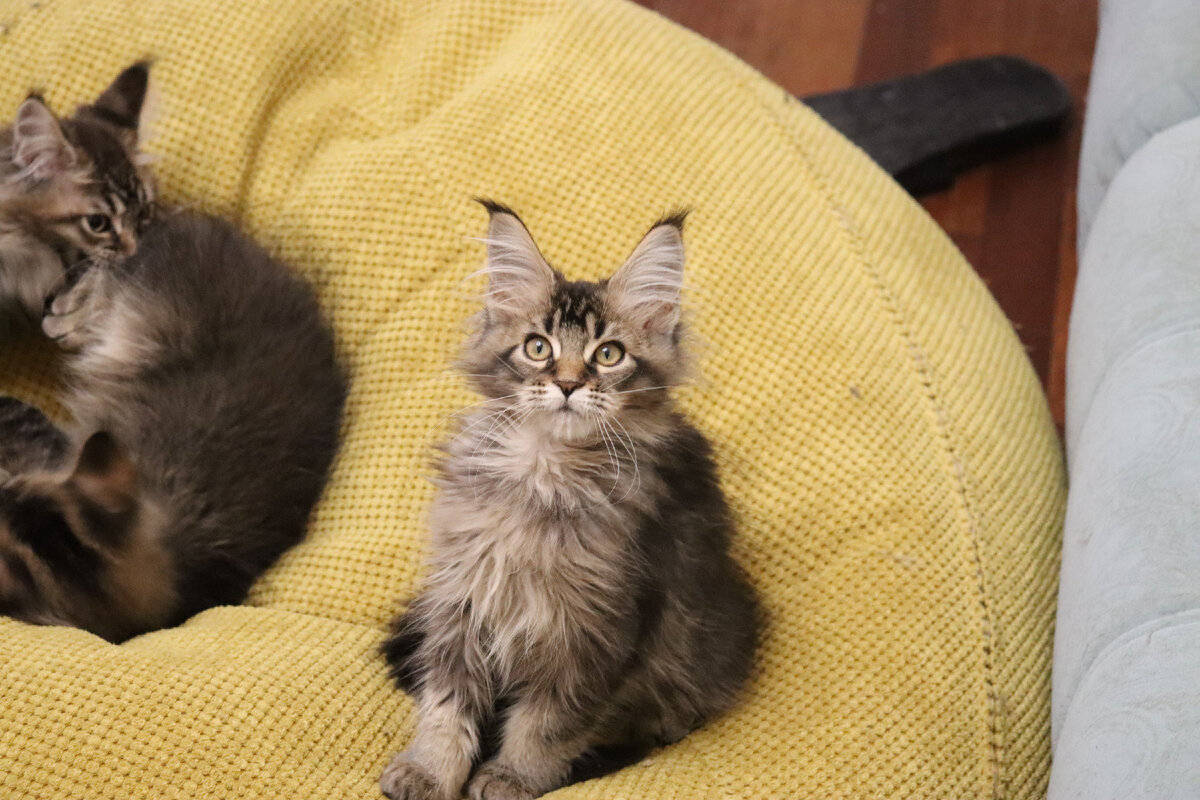 Фото из личного архива.