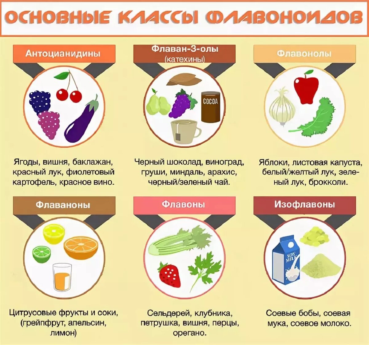 Классы флавоноидов