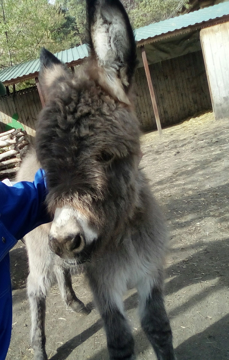 Вот какая она Милаха была❤️