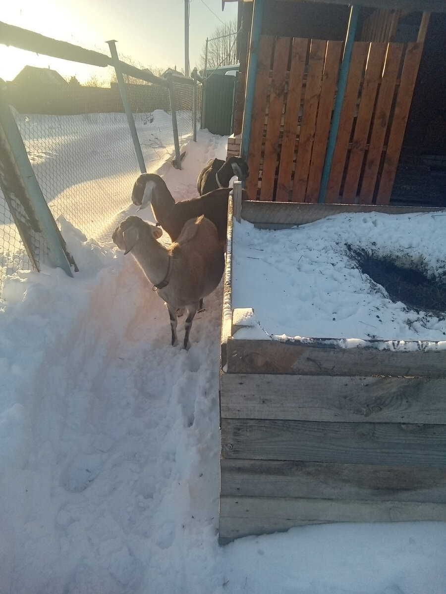 Фото автора. 