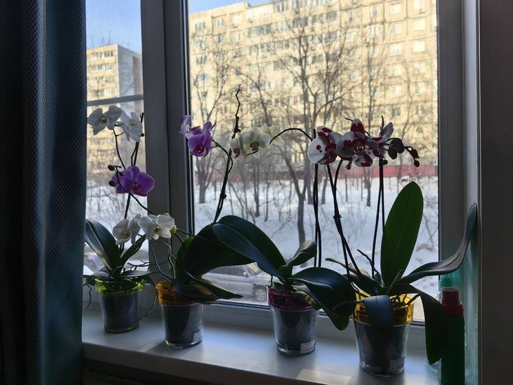     А за окном зима... / Анастасия Дудалова