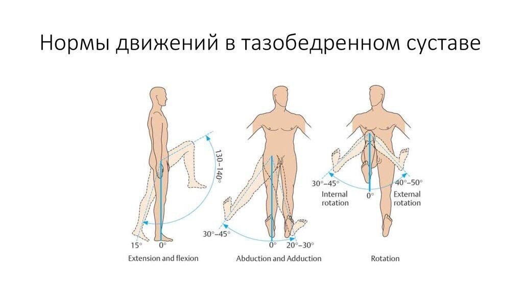 Нормы движений в тазобедренном суставе