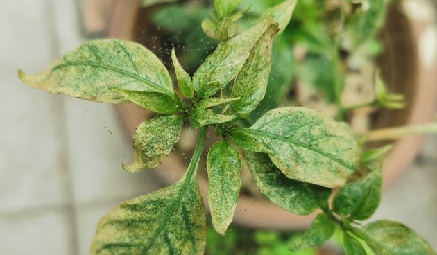    Фото: shutterstock.com