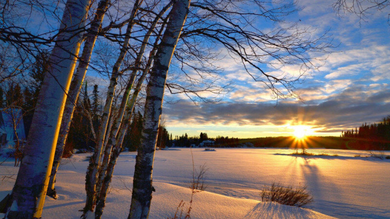     Зима. Солнце. Снег СС0