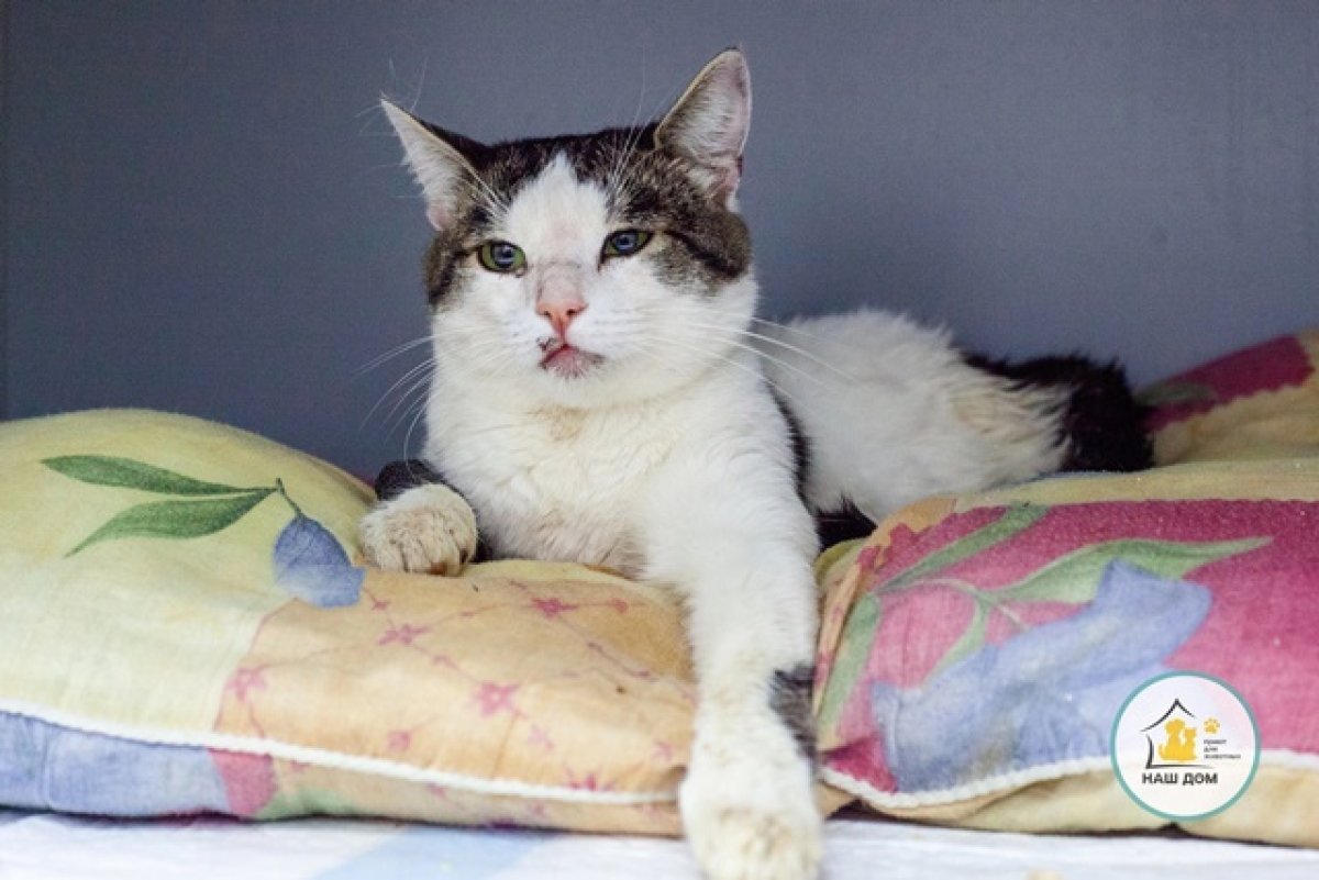    Лучик уже поправился и готов к переезду в новый дом.