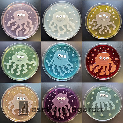 Инопланетное попурри. Источник: American Society for Microbiology.