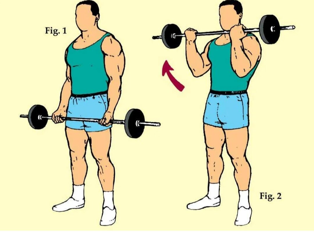 Подъем штанги на бицепс стоя