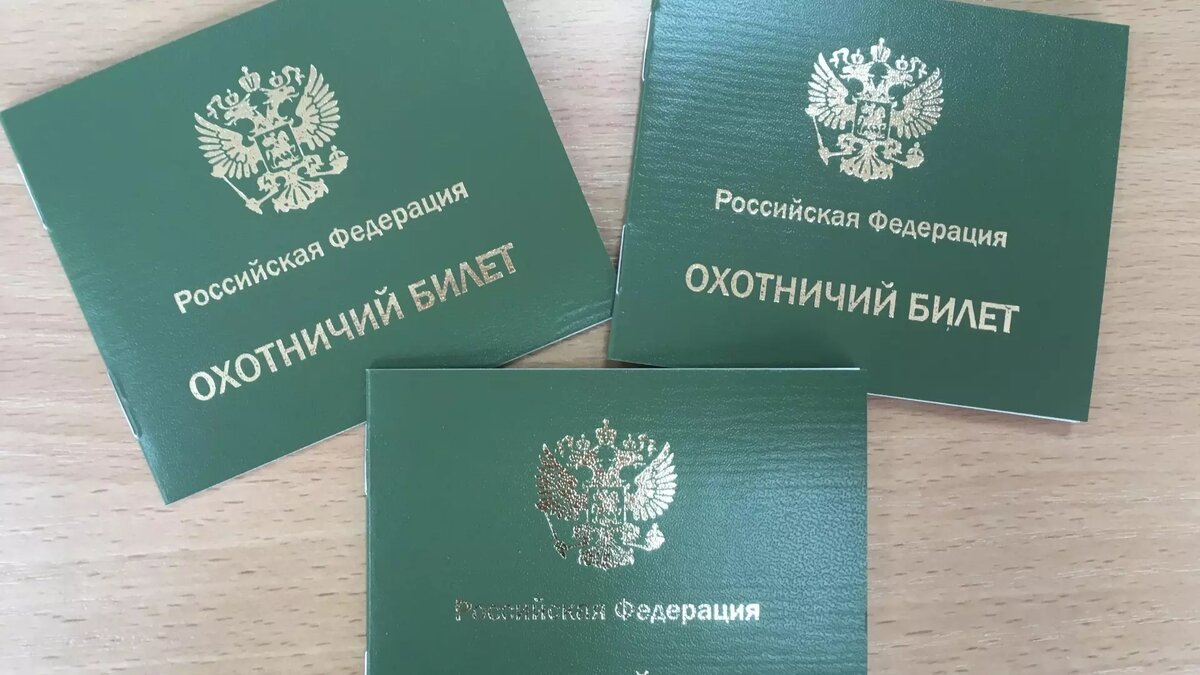     В Хакасии охотники будут сдавать охотминимум. Планируется формат теста, который будет включать 100-200 вопросов.