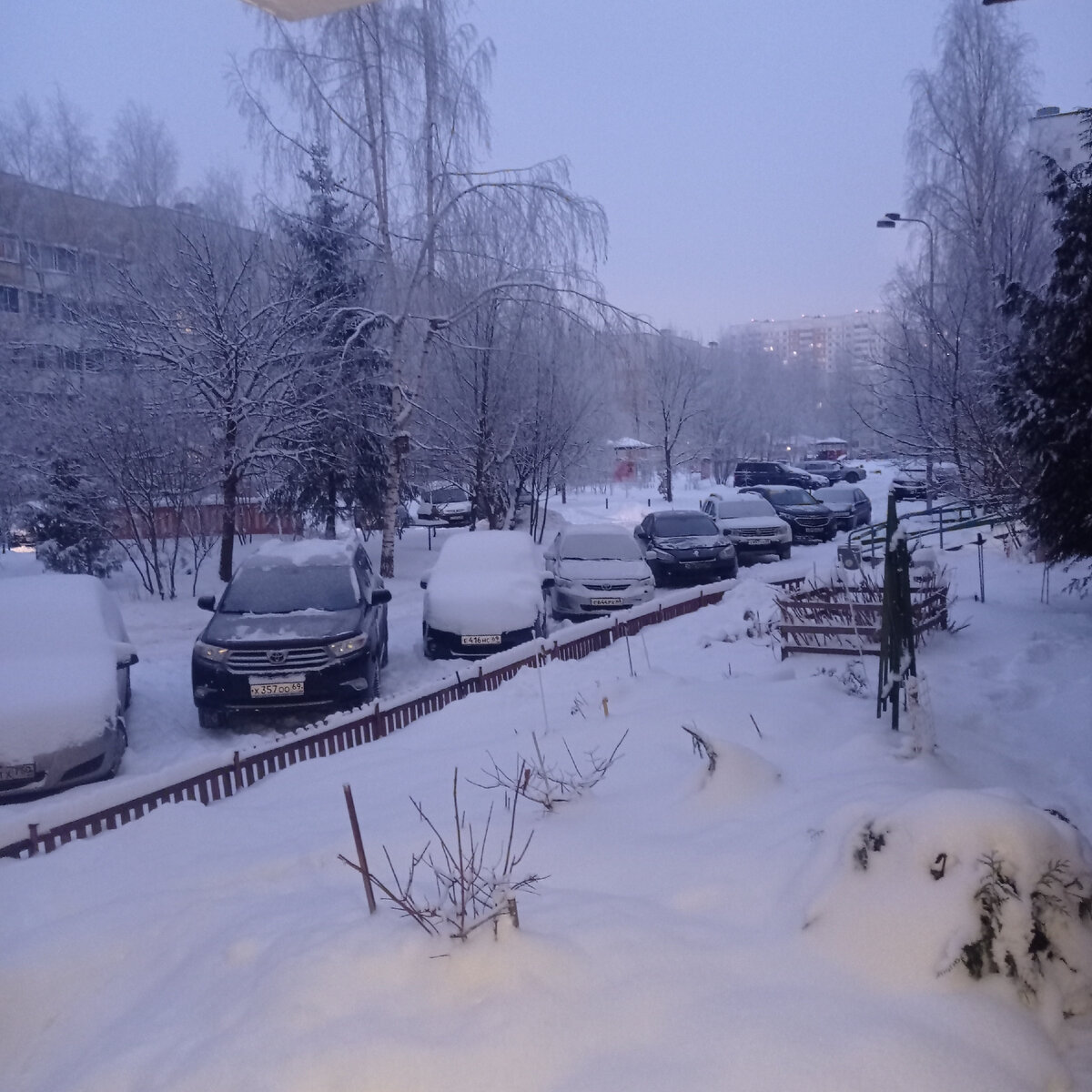 Наш заснеженный двор