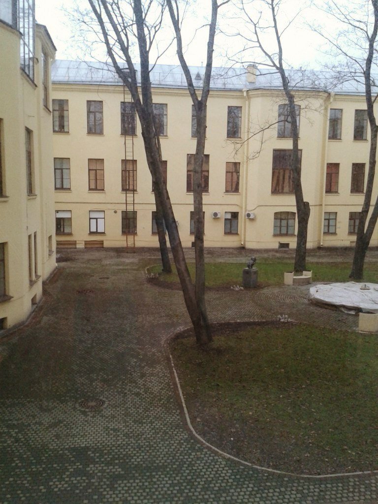 институт Отта, дородовое отделение, вид во двор института.