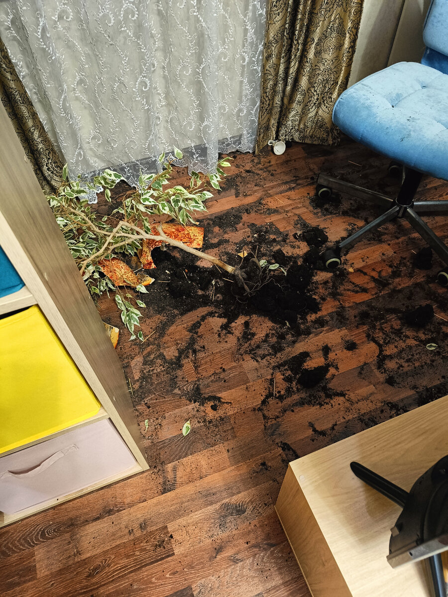 деткам, похоже, было весело.