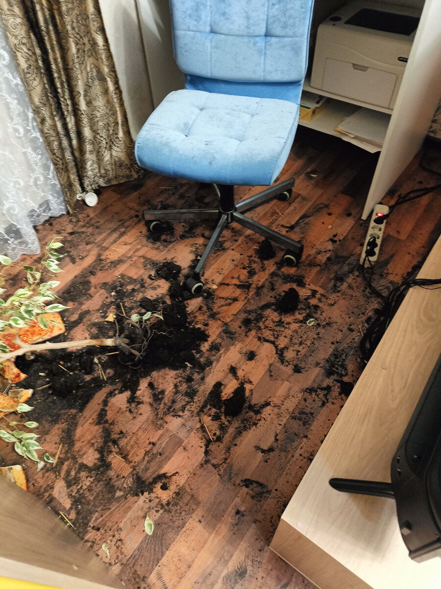 Садоводы-любители, ты-тыть