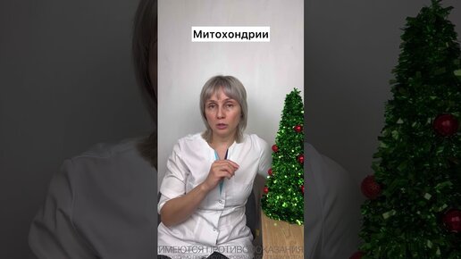 Доктор Лисенкова | Вред новогодних салатов Доктор Лисенкова #shorts | Дзен
