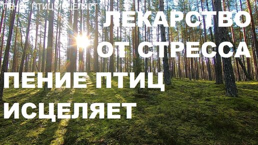 Malwarebytes free сканирование на вирусы скрины. как узнать параметры своего компьютера. системные сведения о компьютере. скриншот с характеристиками компьютера виндовс 10. характеристики компа.