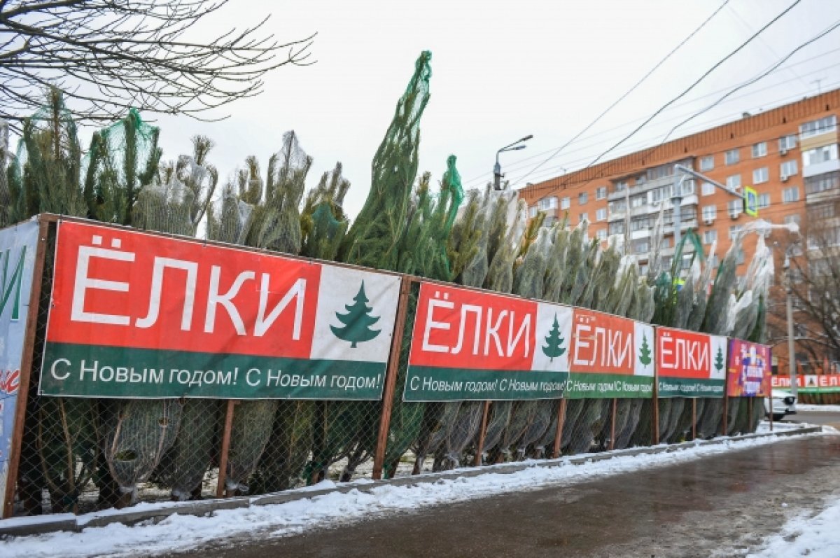    В Москве открываются елочные базары, которые будут работать до 31 декабря