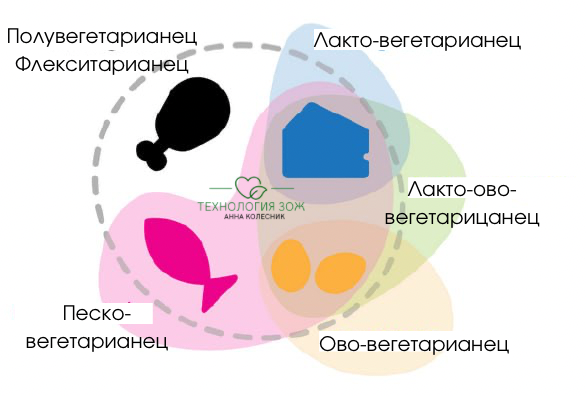 Типы растительного питания. 