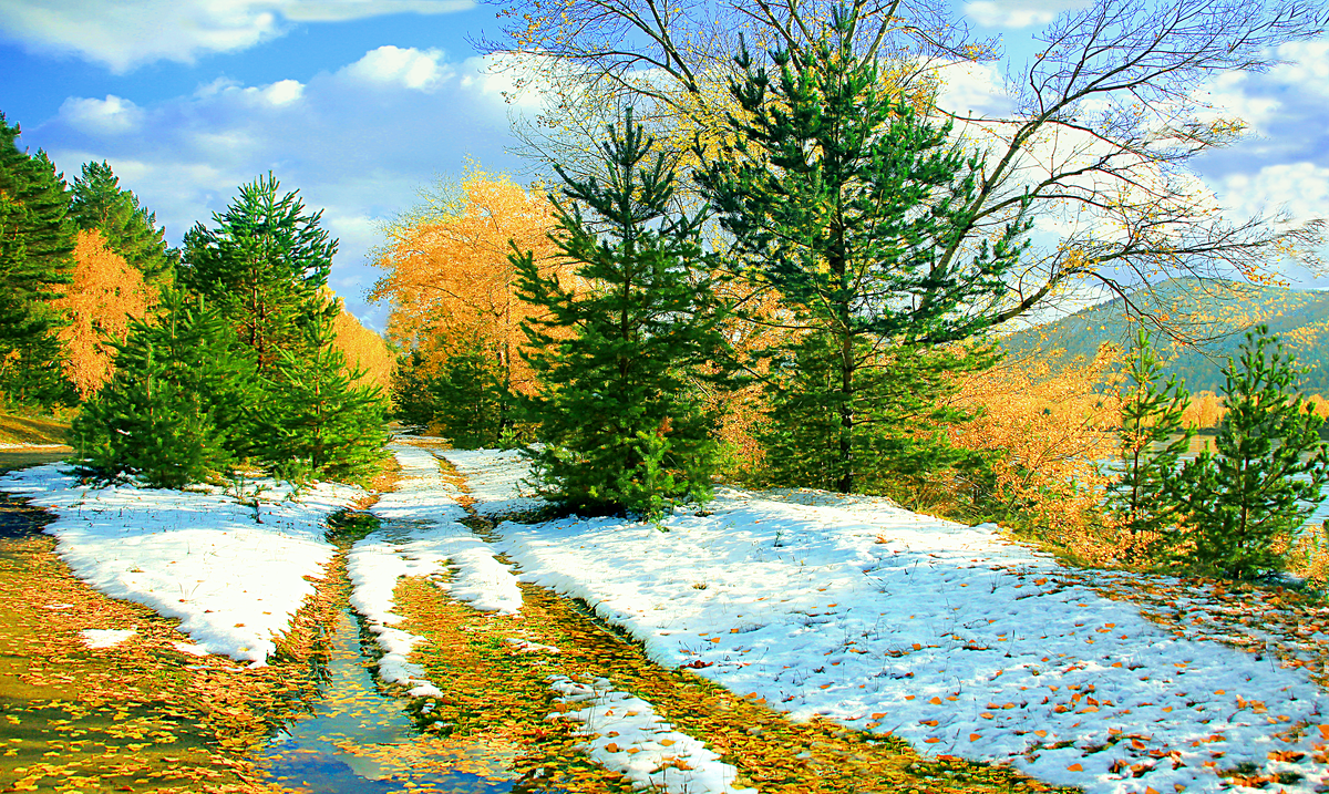 Весна солнце. Зимний пейзаж. Весна снег. Зимняя речка. Зимняя река.