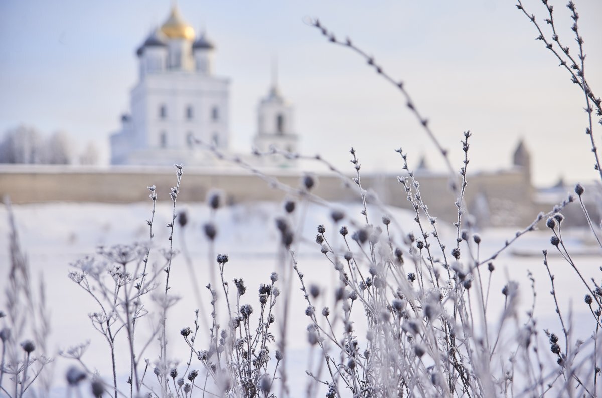    День без осадков ожидает жителей Псковской области 20 декабря