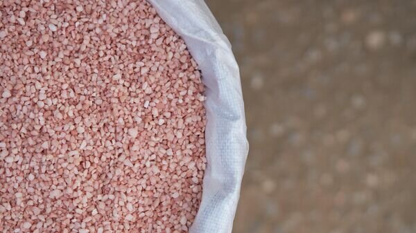    © iStock.com / Iamporpla