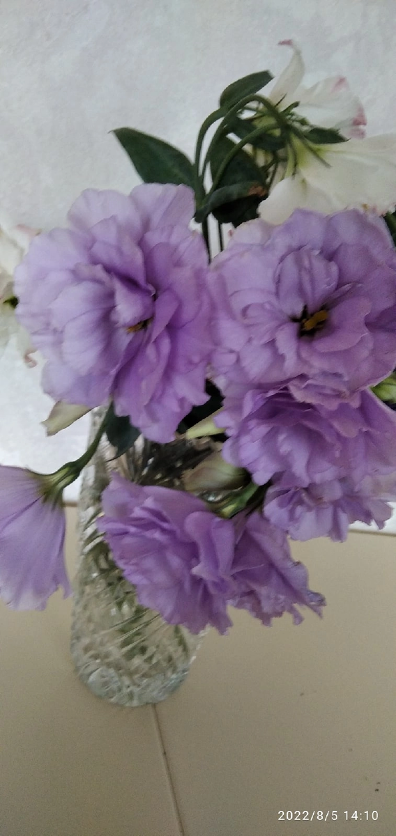 Мои эустомы в вазе